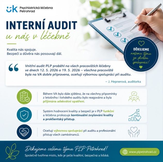 Interní audit